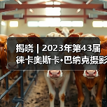 揭晓 | 2023年第43届徕卡奥斯卡·巴纳克摄影奖入围作品(图3) 揭晓 | 2023年第43届徕卡奥斯卡·巴纳克摄影奖入围作品(图3)
