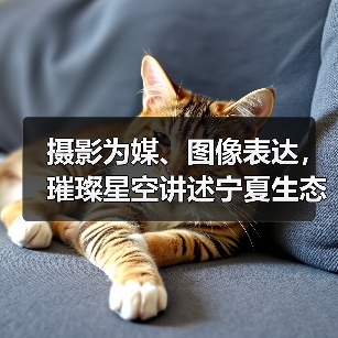 摄影为媒、图像表达,璀璨星空讲述宁夏生态故事(图2) 摄影为媒、图像表达,璀璨星空讲述宁夏生态故事(图2)