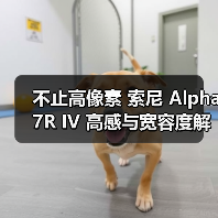 不止高像素 索尼 Alpha 7R IV 高感与宽容度解析（图2）