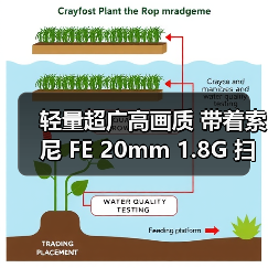 轻量超广高画质 带着索尼 FE 20mm 1.8G 扫星扫海(图4) 轻量超广高画质 带着索尼 FE 20mm 1.8G 扫星扫海(图4)