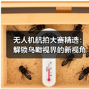 无人机航拍大赛精选：解锁鸟瞰视界的新视角（图2）
