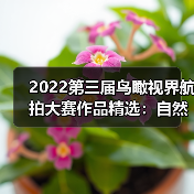 2022第三届鸟瞰视界航拍大赛作品精选:自然风光与人文纪实(66)(图4) 2022第三届鸟瞰视界航拍大赛作品精选:自然风光与人文纪实(66)(图4)
