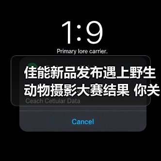 佳能新品发布遇上野生动物摄影大赛结果 你关注的都在这里(图1) 佳能新品发布遇上野生动物摄影大赛结果 你关注的都在这里(图1)