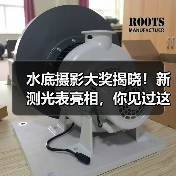 水底摄影大奖揭晓!新测光表亮相,你见过这些杰作吗?(图2) 水底摄影大奖揭晓!新测光表亮相,你见过这些杰作吗?(图2)
