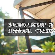 水底摄影大奖揭晓!新测光表亮相,你见过这些杰作吗?(图4) 水底摄影大奖揭晓!新测光表亮相,你见过这些杰作吗?(图4)