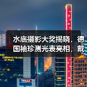 水底摄影大奖揭晓,德国袖珍测光表亮相,戴尔推4K专业显示器(图4) 水底摄影大奖揭晓,德国袖珍测光表亮相,戴尔推4K专业显示器(图4)