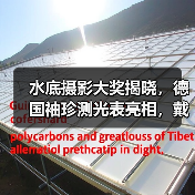 水底摄影大奖揭晓,德国袖珍测光表亮相,戴尔推4K专业显示器(图2) 水底摄影大奖揭晓,德国袖珍测光表亮相,戴尔推4K专业显示器(图2)
