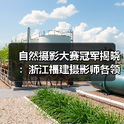 自然摄影大赛冠军揭晓：浙江福建摄影师各领风骚（图3）
