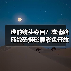 谁的镜头夺目？塞浦路斯数码摄影展彩色开放组获奖名单公布（图4）