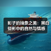 影子的抽象之美：黑白摄影中的自然与情感（图1）