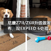 尼康Z7II/Z6II升级版发布，双EXPEED 6处理器+SD卡槽回归，专业摄影性能跃升（图1）