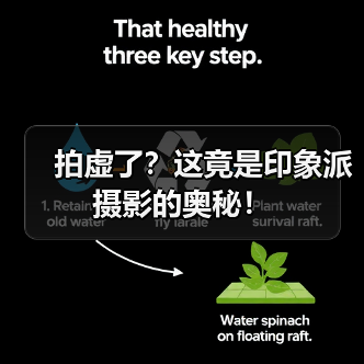 拍虚了?这竟是印象派摄影的奥秘!(图4) 拍虚了?这竟是印象派摄影的奥秘!(图4)