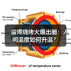 淄博烧烤火爆出圈：人间温度如何升温？（图4）