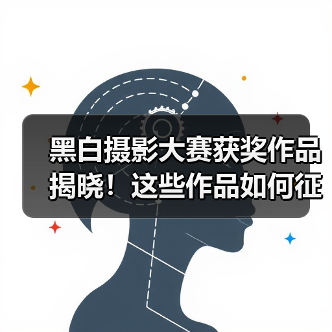 黑白摄影大赛获奖作品揭晓！这些作品如何征服评审？（图4）