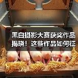 黑白摄影大赛获奖作品揭晓！这些作品如何征服评审？（图3）