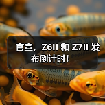 官宣，Z6II 和 Z7II 发布倒计时！（图2）