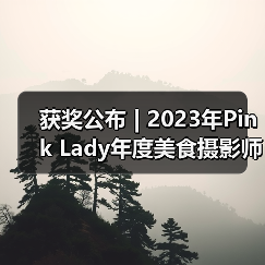 获奖公布 | 2023年Pink Lady年度美食摄影师大赛作品(图2) 获奖公布 | 2023年Pink Lady年度美食摄影师大赛作品(图2)