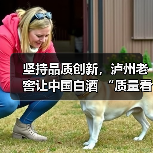 坚持品质创新,泸州老窖让中国白酒 “质量看得见”(图1) 坚持品质创新,泸州老窖让中国白酒 “质量看得见”(图1)