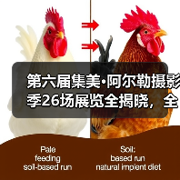 第六届集美·阿尔勒摄影季26场展览全揭晓，全球艺术家作品亮相厦门（图1）