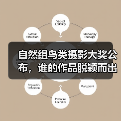 自然组鸟类摄影大奖公布,谁的作品脱颖而出?(图4) 自然组鸟类摄影大奖公布,谁的作品脱颖而出?(图4)