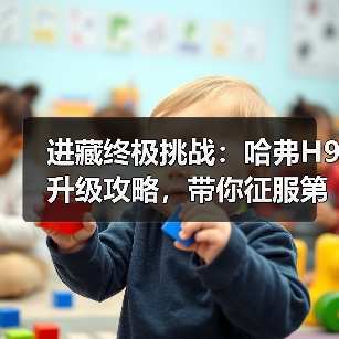 进藏终极挑战:哈弗H9升级攻略,带你征服第九线(图3) 进藏终极挑战:哈弗H9升级攻略,带你征服第九线(图3)