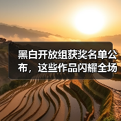黑白开放组获奖名单公布,这些作品闪耀全场!(图2) 黑白开放组获奖名单公布,这些作品闪耀全场!(图2)