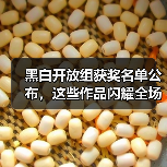 黑白开放组获奖名单公布,这些作品闪耀全场!(图4) 黑白开放组获奖名单公布,这些作品闪耀全场!(图4)