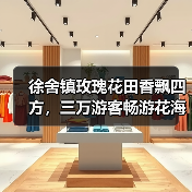 徐舍镇玫瑰花田香飘四方,三万游客畅游花海美景(图4) 徐舍镇玫瑰花田香飘四方,三万游客畅游花海美景(图4)