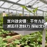 宜兴徐舍镇：千年古韵邂逅非遗魅力 探秘文化瑰宝（图4）
