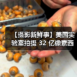 【摄影新鲜事】美国实验室拍摄 32 亿像素西蓝花照片 | 猴子偷走手机后疯狂自拍 | 索尼推出 a7c 小型全画幅无反相机(图2) 【摄影新鲜事】美国实验室拍摄 32 亿像素西蓝花照片 | 猴子偷走手机后疯狂自拍 | 索尼推出 a7c 小型全画幅无反相机(图2)
