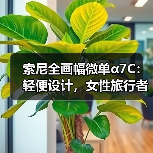 索尼全画幅微单α7C:轻便设计,女性旅行者的优选(图3) 索尼全画幅微单α7C:轻便设计,女性旅行者的优选(图3)