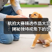 航拍大赛精选作品大赏:揭秘独特视角下的世界之美(图3) 航拍大赛精选作品大赏:揭秘独特视角下的世界之美(图3)