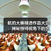 航拍大赛精选作品大赏:揭秘独特视角下的世界之美(图4) 航拍大赛精选作品大赏:揭秘独特视角下的世界之美(图4)