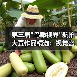 第三届 第三届