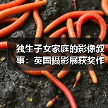 独生子女家庭的影像叙事：英国摄影展获奖作品揭示的深层情感（图1）