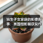 独生子女家庭的影像叙事：英国摄影展获奖作品揭示的深层情感（图3）