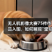 无人机影像大赛75件作品入围，如何展现