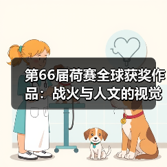 第66届荷赛全球获奖作品：战火与人文的视觉见证（图2）