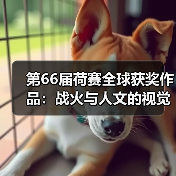 第66届荷赛全球获奖作品：战火与人文的视觉见证（图4）