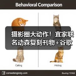 摄影圈大动作！宜家联名动森复刻刊物+谷歌图片付费功能上线（图2）
