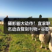 摄影圈大动作！宜家联名动森复刻刊物+谷歌图片付费功能上线（图3）