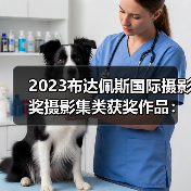 2023布达佩斯国际摄影奖摄影集类获奖作品：暗黑幽默揭示女性困境（图1）