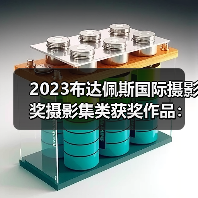 2023布达佩斯国际摄影奖摄影集类获奖作品：暗黑幽默揭示女性困境（图3）