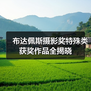 布达佩斯摄影奖特殊类获奖作品全揭晓（图4）