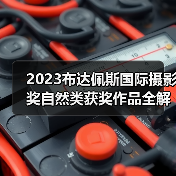2023布达佩斯国际摄影奖自然类获奖作品全解析（图1）