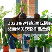 2023布达佩斯国际摄影奖自然类获奖作品全解析（图2）