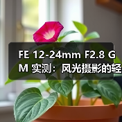FE 12-24mm F2.8 GM 实测：风光摄影的轻量化高性能之选（图2）