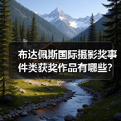 布达佩斯国际摄影奖事件类获奖作品有哪些？（图4）