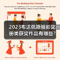 2023布达佩斯摄影奖画册类获奖作品有哪些？深度解析（图2）