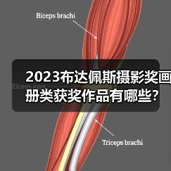 2023布达佩斯摄影奖画册类获奖作品有哪些？深度解析（图3）